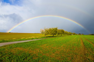 Regenbogen